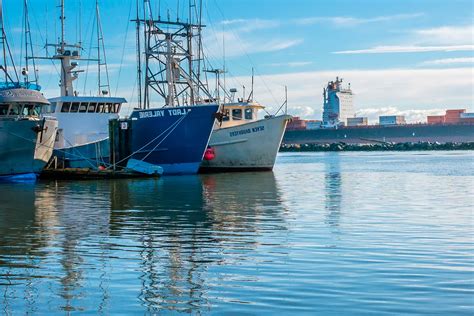 PRIMERA TEMPORADA DE PESCA DEL 2018 SE INICIA CON UNA CUOTA DE 3 32