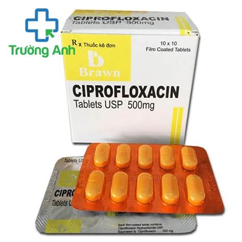 Ciprofloxacin Mg Brawn Thu C I U Tr Nhi M Khu N Hi U Qu