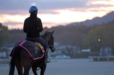 日曜メインレースの注目激走馬阪神11r阪神ジュベナイルフィリーズ・g1 Umatoku 馬トク