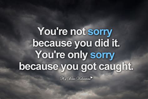 Sorry Not Sorry Quotes QuotesGram