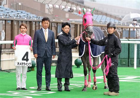 オメガウインク、デビュー2戦目で初勝利 戸崎騎手「しっかり伸びてくれました」／東京2r 2歳馬特集 競馬写真ニュース 日刊スポーツ