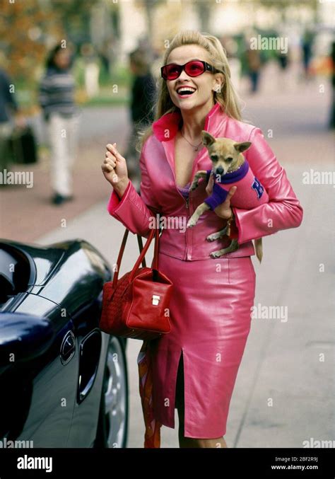 Legally Blonde Reese Witherspoon High Resolution Stock Photography And