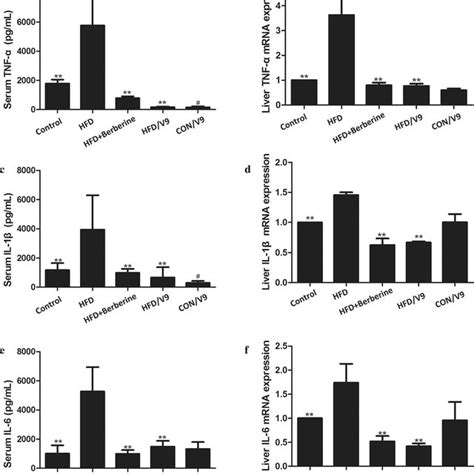 V9 Treatment Improves Hfd Induced Metabolic Disorder A Hepatic Levels