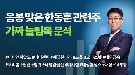 주식 음봉 맞은 한동훈 관련주 분석과 전망대상홀딩스 디티앤씨알오 디티앤씨 깨끗한나라 노을 오파스넷 태양금속