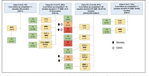 Figure From Presentation And Outcome Of Pediatric Lupus Nephritis