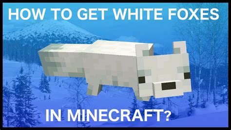 How To Get White Foxes In Minecraft Youtube