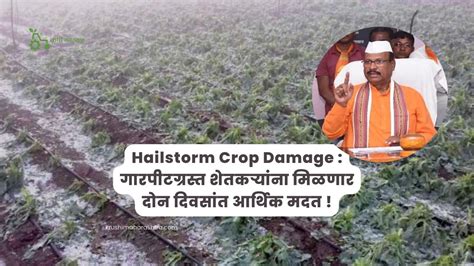 Hailstorm Crop Damage गारपीटग्रस्त शेतकऱ्यांना मिळणार दोन दिवसांत