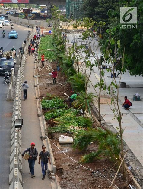 FOTO Percantik Jakarta Jalur Pedestrian Jalan Sudirman Ditanami Pohon