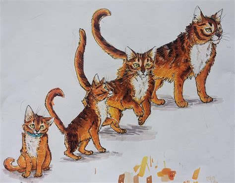 242 Best Firestar Images On Pholder Warrior Cats Thedawnpatrol And