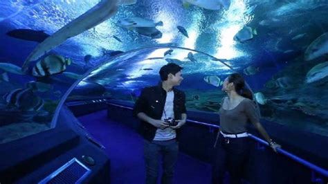 Pattaya Underwater World Pattaya Aquarium Admission Ticket Getyourguide