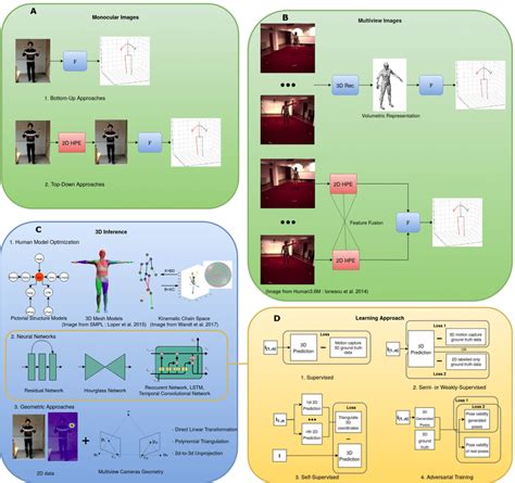 Overview Of The Different Levels Of 3D Markerless Human Pose