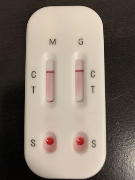 antibody test - Boulder Therapeutics