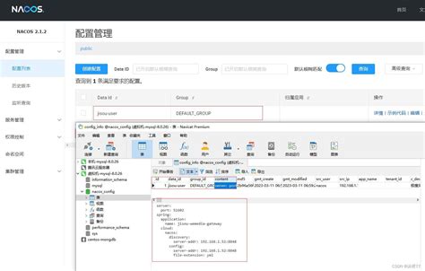 Docker安装nacos配置外部数据源mysql，解决no Datasource Set 问题 Csdn博客