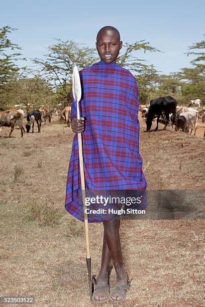 747 Maasai Cattle Stock Photos, High-Res Pictures, and Images - Getty Images