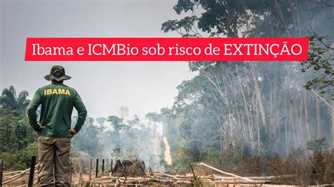 Ibama E Icmbio Sob Risco De Extin O Mandato Entra Requerimento De