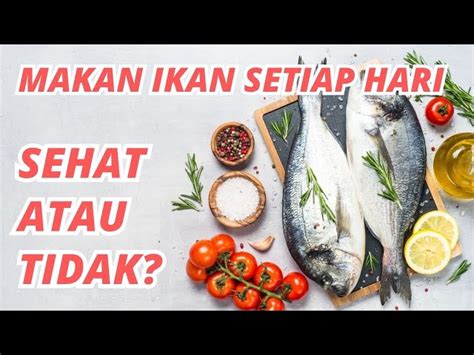 Temukan 5 Manfaat Makan Ikan Setiap Hari Jarang Diketahui Biotifor