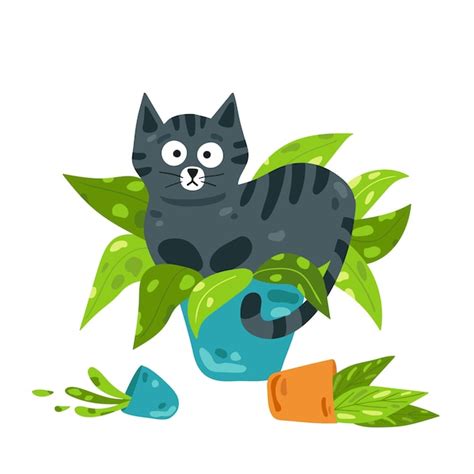 Um gato preto se senta em uma panela uma flor o gato brincalhão