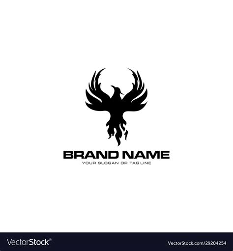 Logo Design Phoenix Template White Background Vector Image