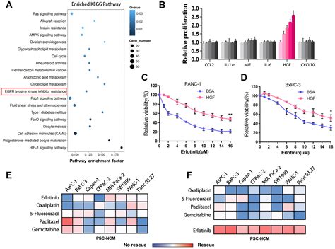 Hypoxia Activated Hgf Expression In Pancreatic Stellate Cells Confers