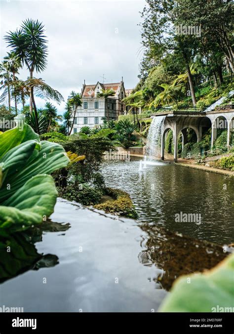 Funchal Madeira Monte Palace Gardens Hi Res Stock Photography And