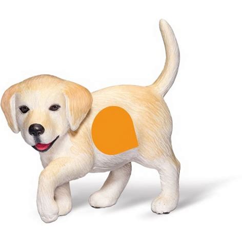 tiptoi® Golden-Retriever-Welpe - Online Marketplace - EveryMarket