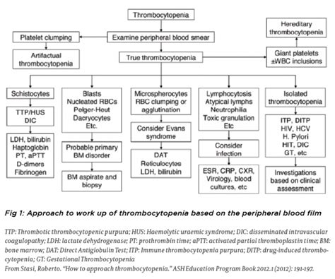 A Practical Approach To Thrombocytopenia • The Medical Republic