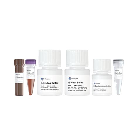 Epiart Ultrafast Magnetic Dna Methylation Bisulfite Kit