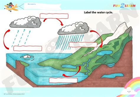 Label The Water Cycle Free Worksheet Stem Clil Esl Fun Learn