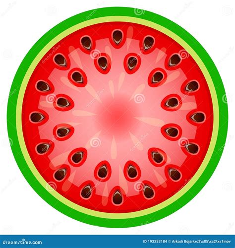 Round Watermelon Slice Vector Icon Stock Vector Illustration Of