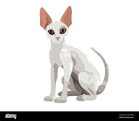 Flat Cute Cat Vector Illustration Stock Vector Image And Art Alamy