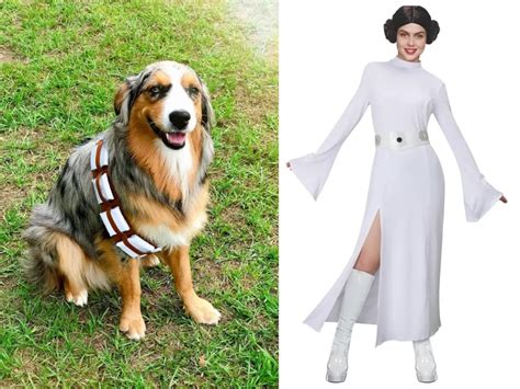 21 Cute Disney Dog and Owner Costumes for Halloween!