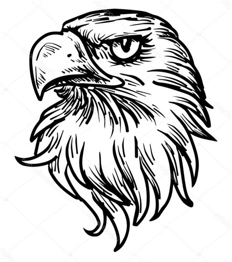 eagle head clip art 20 free Cliparts | Download images on Clipground 2024