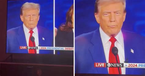 If You Ve Never Noticed Trump S Neck Pussy Before Or Even If You