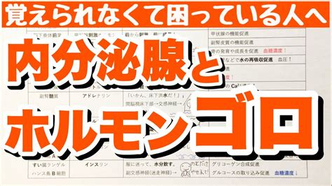 【語呂合わせ】内分泌腺とホルモンの語呂合わせ 12種類のホルモンの覚え方 内分泌系 ゴロ生物基礎 Youtube