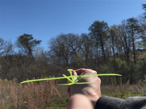 Ultralight 2gram Glider (print in place) by robotfriend | Download free ...