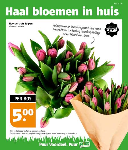 Tulpen Folder Aanbieding Bij Poiesz Details