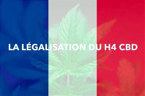 La Légalisation Du H4 Cbd Golden High