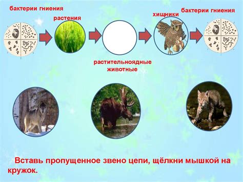 Наука о связях живых существ и среды обитания экология презентация