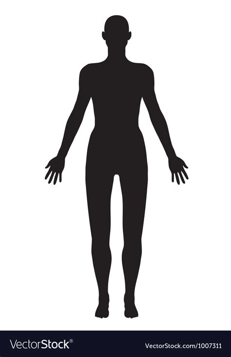 body royalty  vector image vectorstock