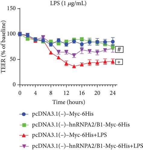 Effect Of Hnrnpa B On Endothelial Permeability In Huvecs Huvecs Were