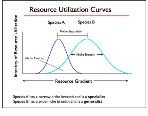 Ecology Test Questions Flashcards Quizlet