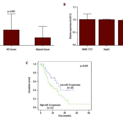 Expression Of Mir 32 In Hcc Tissues And Cell Lines And Correlation Download Scientific Diagram