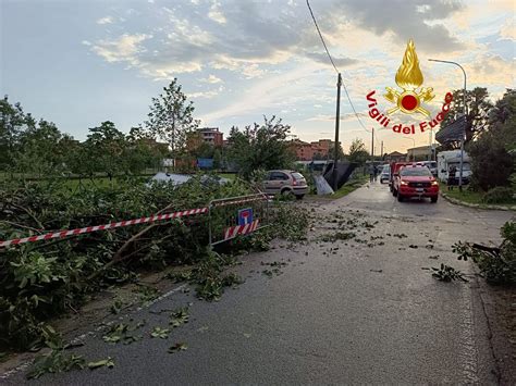 Tromba D Aria Tra Rho E Pregnana La Furia Del Vento Sradica Gli Alberi