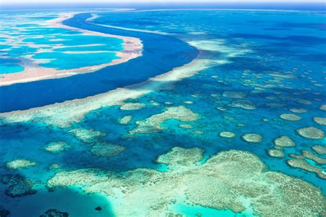 Facts about the Great Barrier Reef Marine Park - Sailing Whitsundays