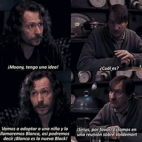 Sirius S Lupin Cosas Graciosas De Harry Potter Libros De Harry