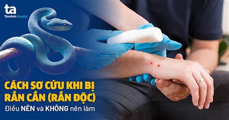 Những Biểu Hiện Thường Gặp Khi Cắn Răng Bị đau Tai Và Cách điều Trị