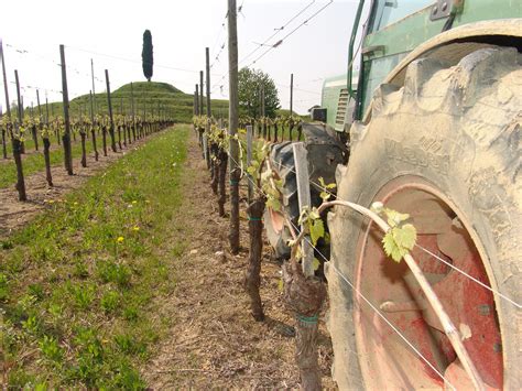 Revisione Generale Periodica Macchine Agricole Consorzio Colli