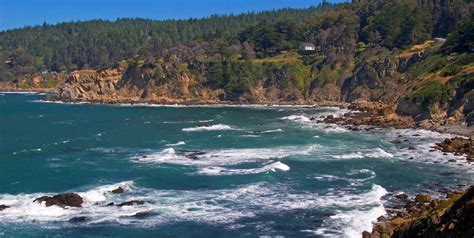 Salt Point State Park S Pygmy Forest In Gualala Sonoma County Tourism