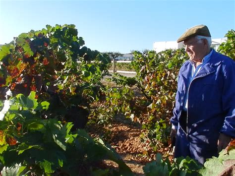 Winery Wine Tourism Gallery Finca De Los Arandinos