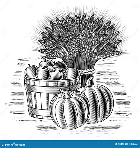 Retro Harvest Still Life Black And White Stock Photos Image 18413423